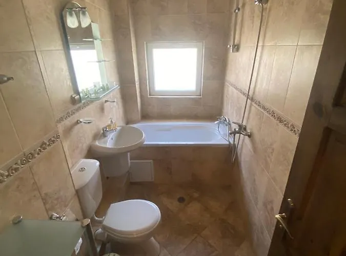 Guest house воденицата