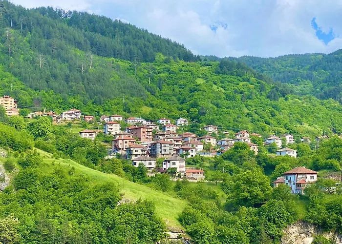 воденицата Guest house 3*